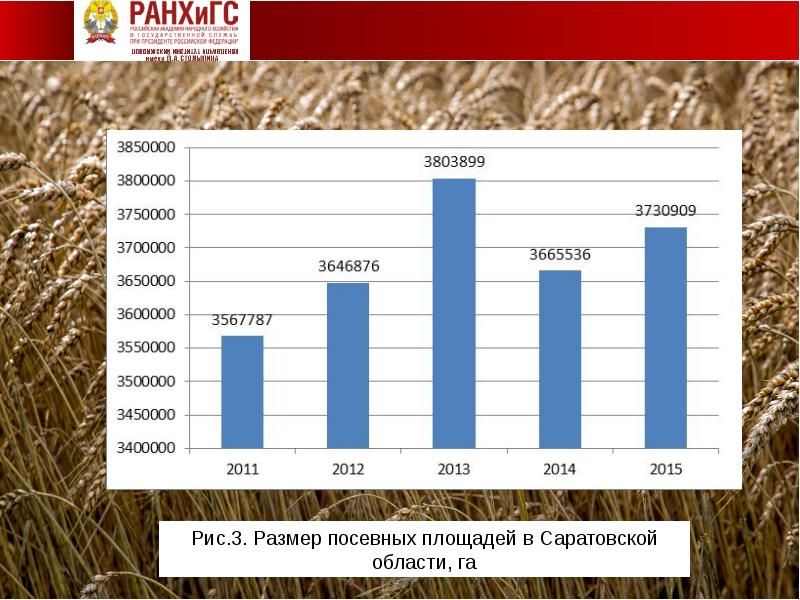 Размер риса. Посевные площади Саратовской области. Посевные площади риса в России. Аграрная политика субъекты.