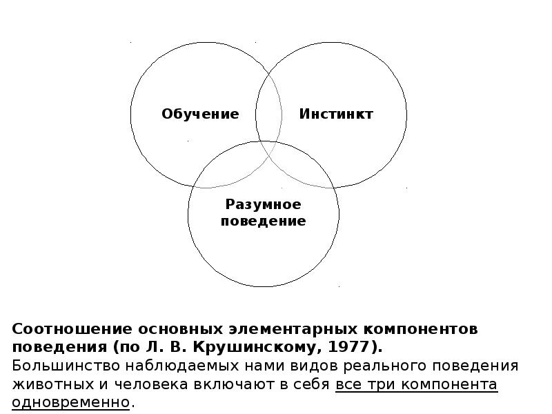 Отличие поведения человека от поведения животных