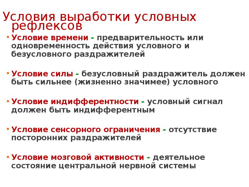 Условные рефлексы на время