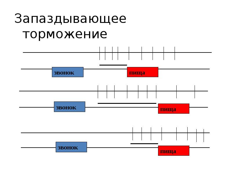 Угасательное торможение это. Запаздывающее торможение примеры. Запасдываеюший торможение. Угасательное торможение схема.