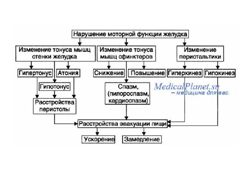 Патофизиология в схемах и таблицах нурмухамбетова