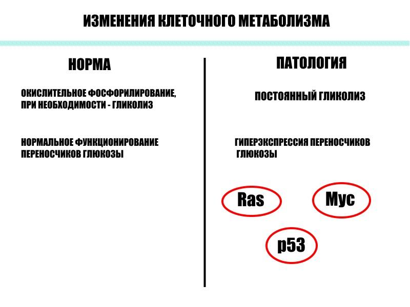 Механизмы канцерогенеза презентация