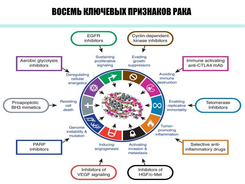 Механизмы канцерогенеза презентация