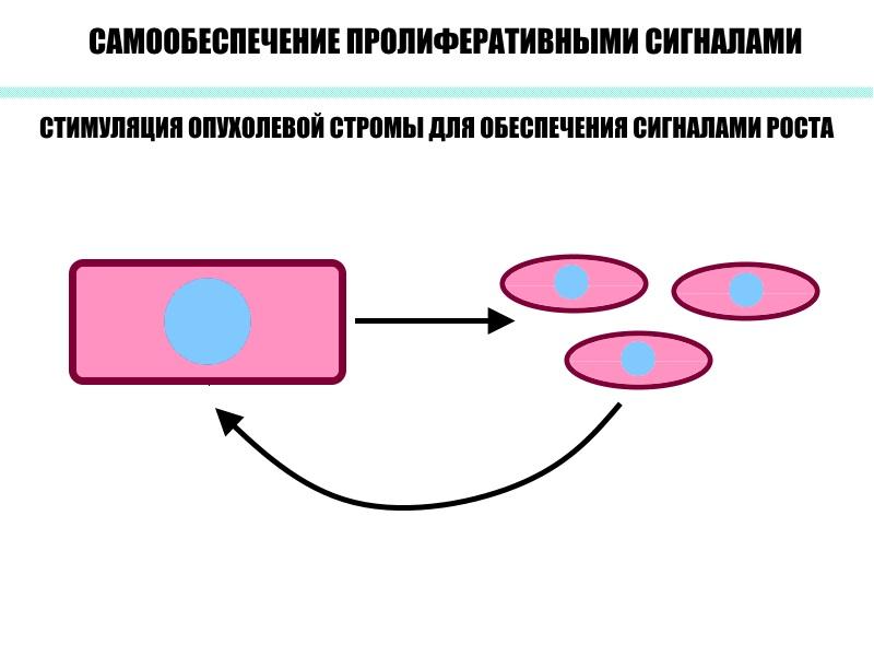 Механизмы канцерогенеза презентация