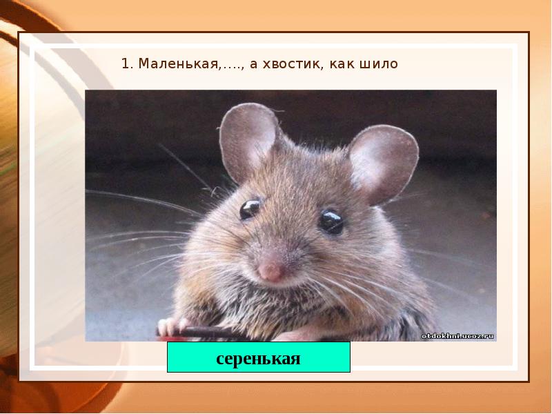 1. Маленькая,…., а хвостик, как шило 1. Маленькая,…., а хвостик, как шило