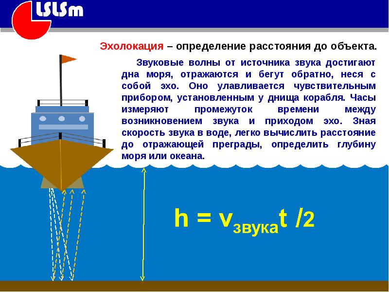 Определить расстояние до источника звука. Эхолокация формула. Эхолокация это в физике. Эхо и эхолокация физика. Эхолокация 9 класс.