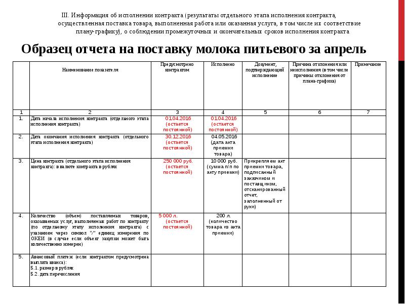 Отчет по социальному контракту образец