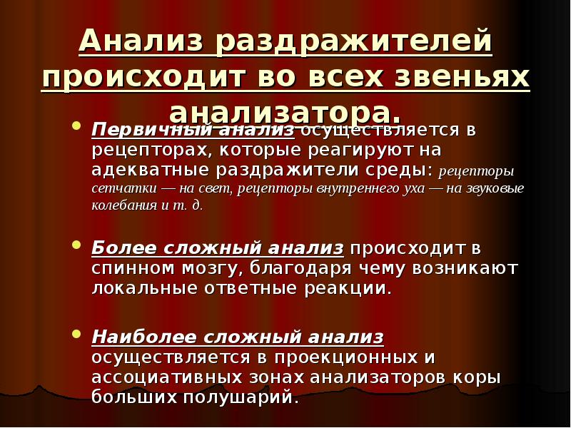 Анализ зрительных образов происходит в. Анализ зрительных образов происходит в