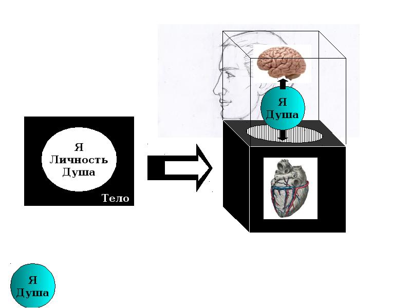 Глубина души. Душа и личность. Душа выбирает тело. В глубине души. Душа личность тело.
