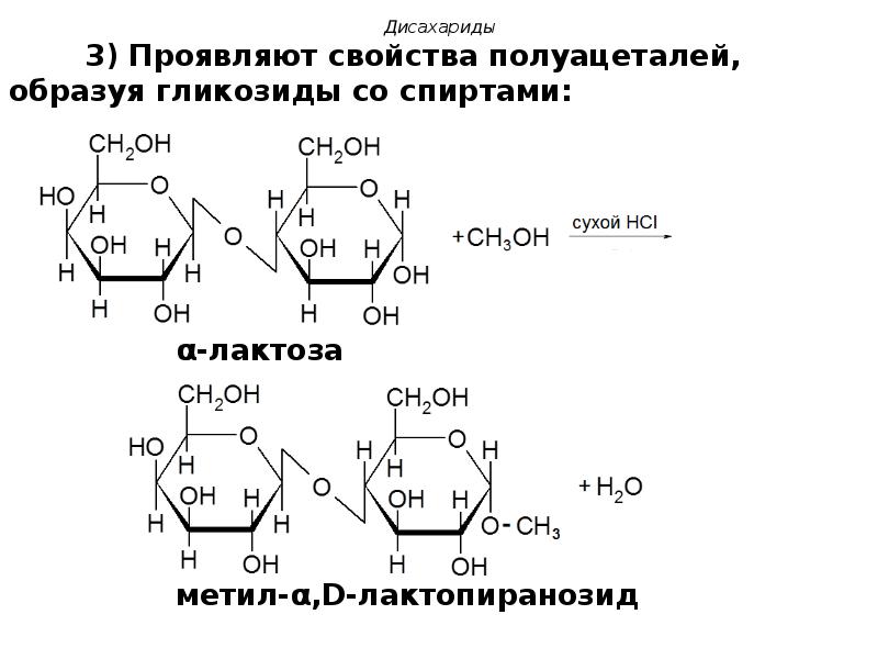 Химические свойства мальтозы. Реакции образования гликозидов дисахариды. Образование гликозидов из дисахаридов. Лактоза дисахарид.