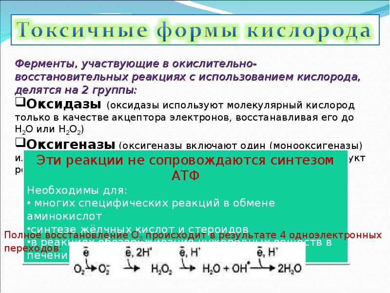 Окислительные свойства кислорода. Токсические формы кислорода. Образование токсических форм кислорода биохимия. Токсичность кислорода. Образование активных форм кислорода.. Токсичные формы кислорода биохимия.