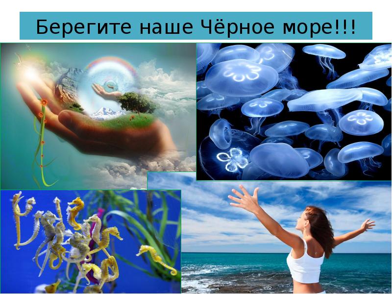 Берегите наше Чёрное море!!!