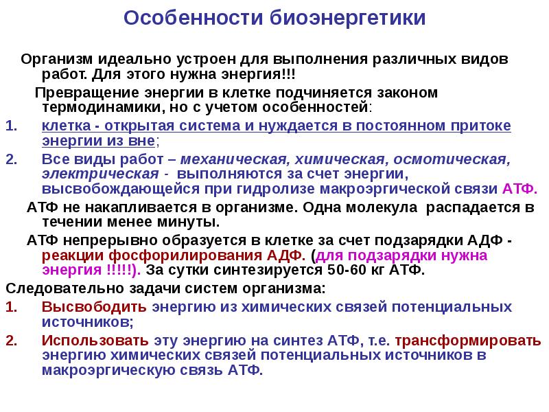 Для чего нужна энергия человеку. Особенности биоэнергетики. Биоэнергетика физиология. Превращение энергии в организме человека кратко. Биоэнергетика клетки.