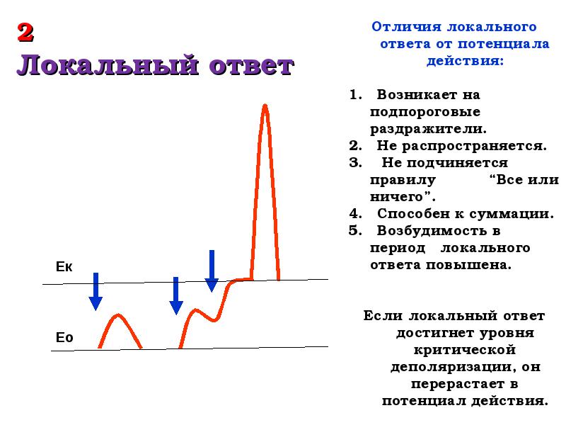 Действие постоянного тока. Закон действия постоянного тока. Различие локального ответа и потенциала действия.. Локальный потенциал и потенциал действия. Локальный ответ и потенциал действия.