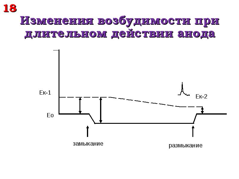 Изменение возбудимости. Возбудимость при действии постоянного тока. Изменение возбудимости при действии постоянного тока физиология. График постоянного тока. Законы действия постоянного тока на возбудимые ткани.