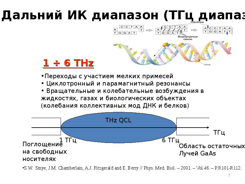 Тгц в гц