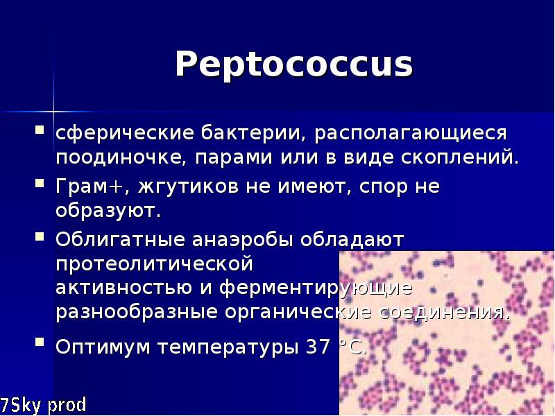 Анаэробы. Анаэробы это. Бактерии бывают анаэробные и аэробные. Неспорообразующие облигатные анаэробы. Бактерии живущие и развивающиеся при отсутствии кислорода.