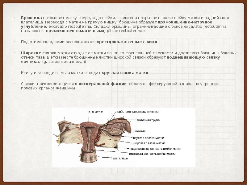 Презентация экстирпация матки