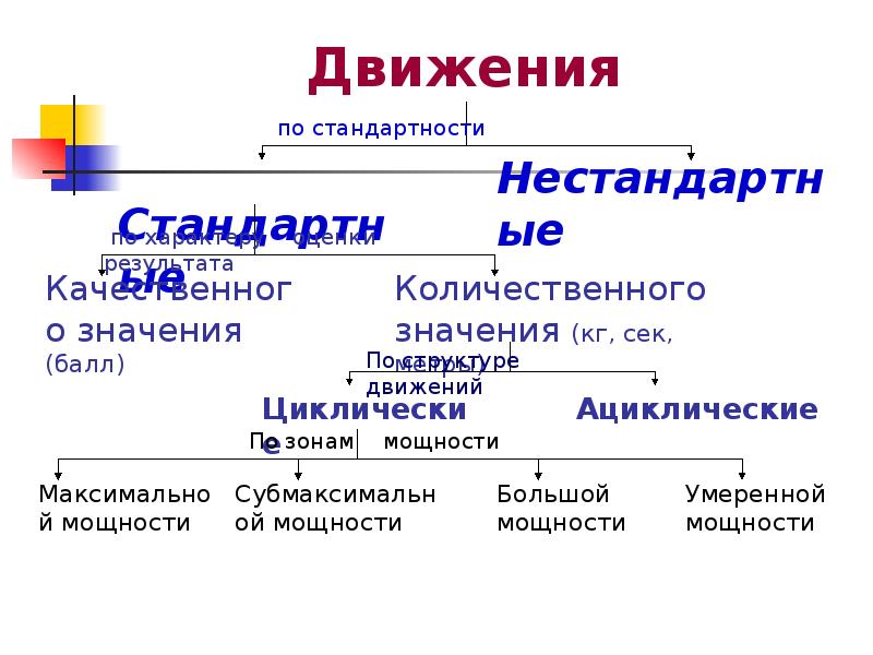 Презентация о пользе физических упражнений