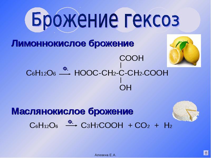 Реакцией брожения глюкозы получают. Лимоннокислое брожение Глюкозы реакция. Реакция лимоннокислого брожения Глюкозы формула. Лимонно кислотное брожение Глюкозы. Формула лимоннокислого брожения Глюкозы.