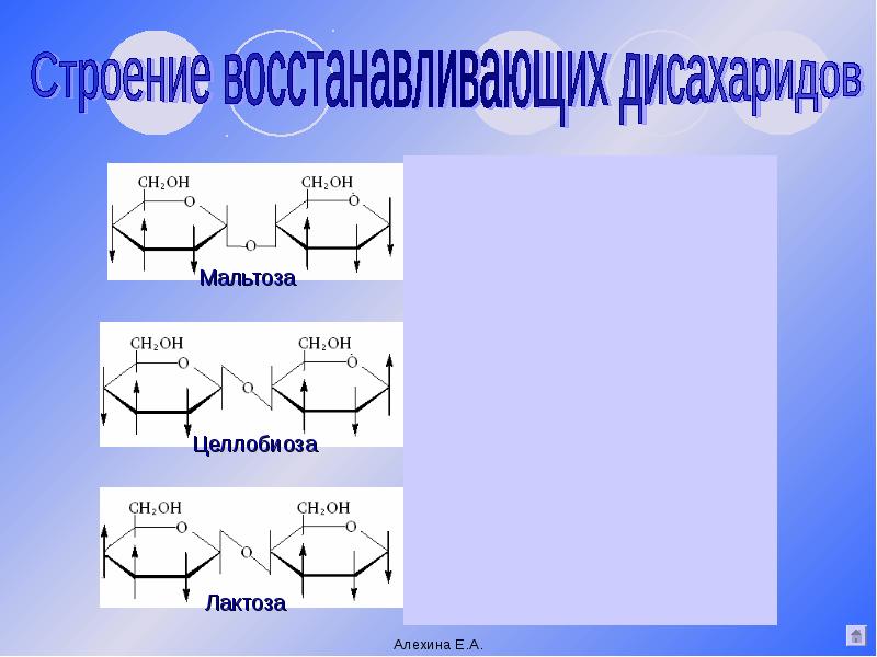 Структура 6. Строение дисахаридов. Структура дисахаридов. Восстанавливающие дисахариды строение. Мальтоза лактоза целлобиоза.