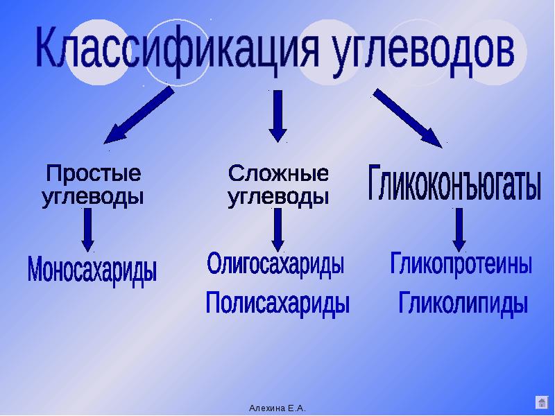 Проект по теме углеводы 10 класс химия