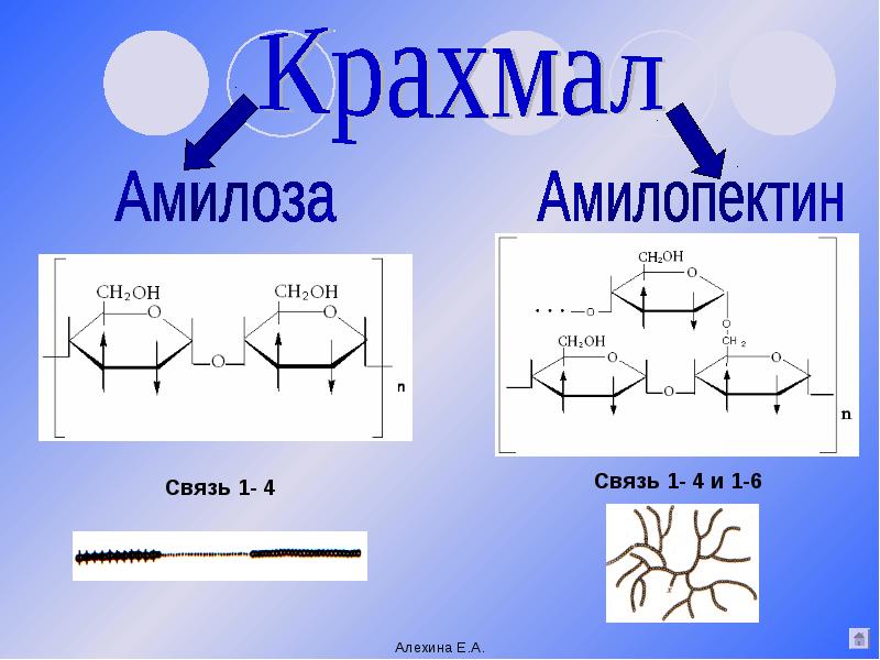 Крахмал картинки химия