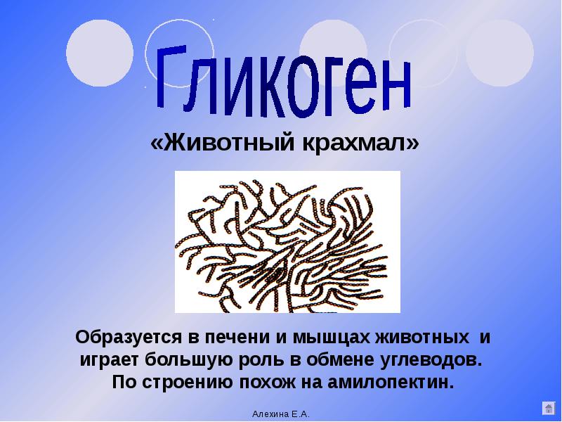 гликоген является гомополисахаридом. строение крахмала и гликогена. гликоген животный крахмал. гликоген животный крахмал. гликоген.