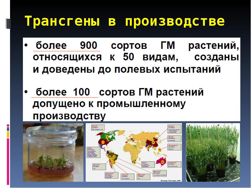 Трансгены в производстве