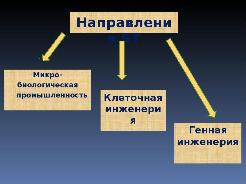 Микро- Микро- биологическая   промышленность