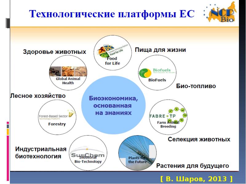 Реферат: Лекции по Основам микробиологии и биотехнологии