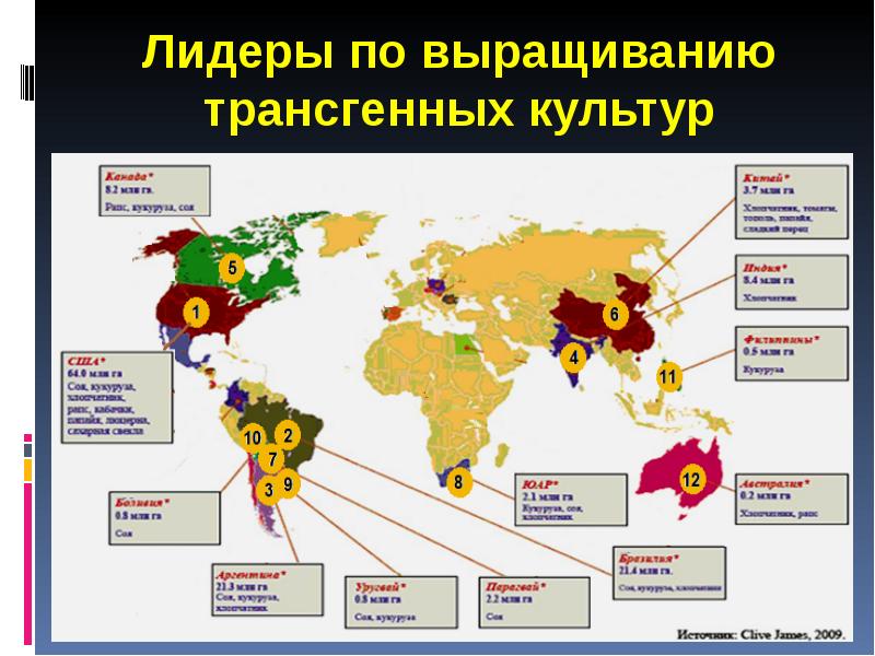 Лидеры по выращиванию трансгенных культур
