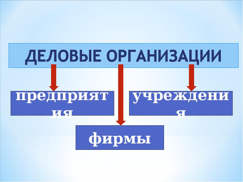 Науки изучающие организацию