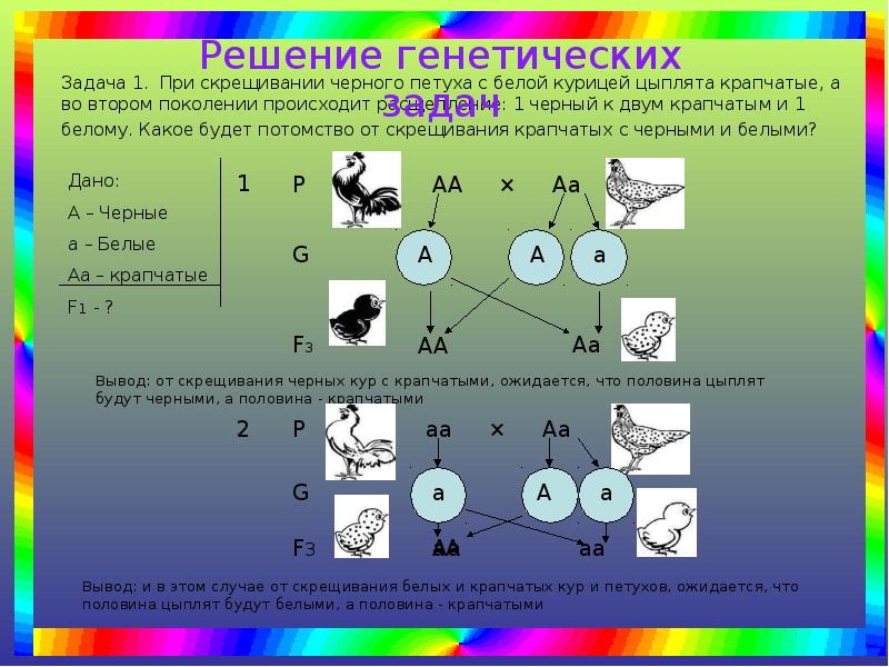 Лабораторная работа составление простейших схем скрещивания