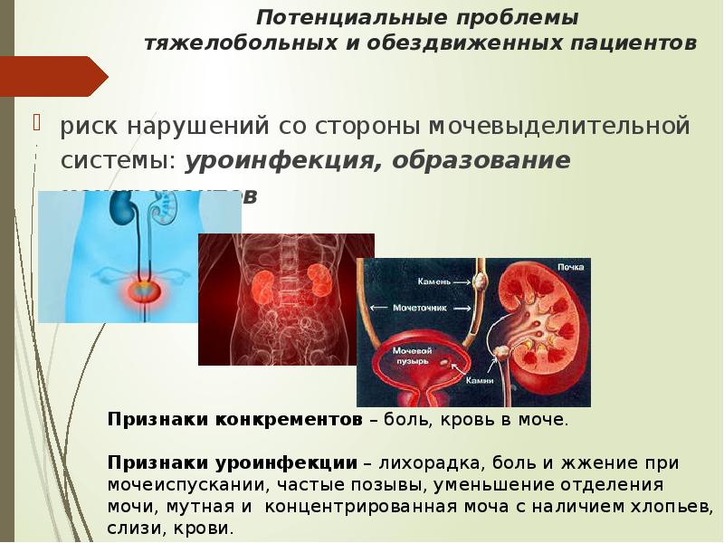 Потенциальные проблемы. Проблемы мочевыделительной системы. Потенциальные проблемы со стороны мочевыделительной системы. Проблемы пациента с заболеванием мочевыделительной системы. Проблемы пациентов с патологией мочевыделительной системы.