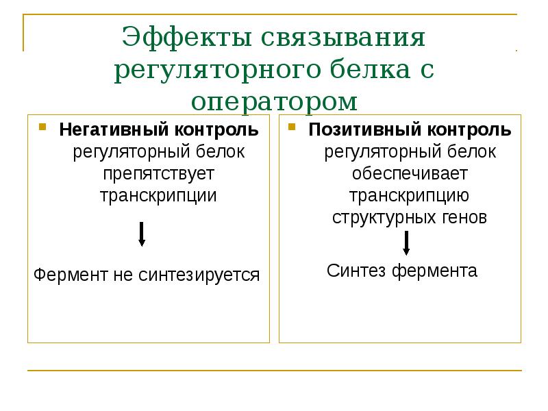 Отрицательный контроль. Негативный контроль генетической активности. Позитивный и негативный контроль. Позитивный контроль регуляции. Позитивный контроль генетической активности.