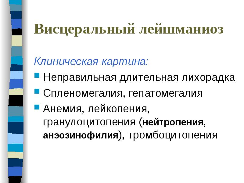 Висцеральный лейшманиоз. Висцеральный лейшманиоз