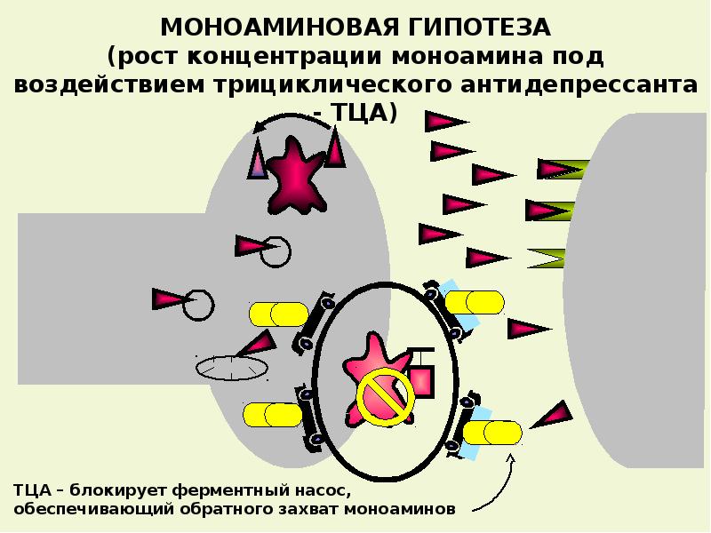 Клиническая фармакология антидепрессантов презентация