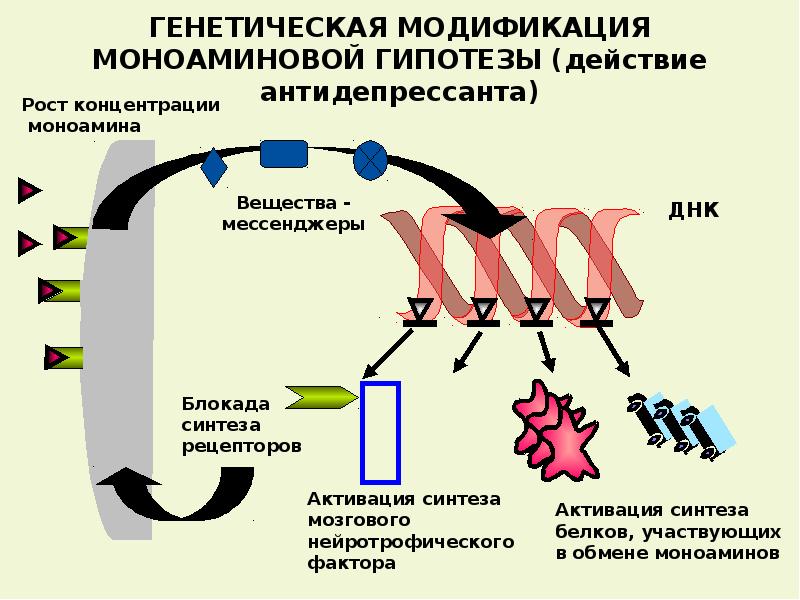 Клиническая фармакология антидепрессантов презентация