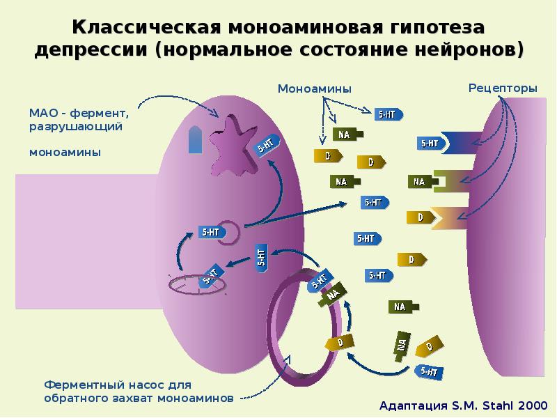 Клиническая фармакология антидепрессантов презентация