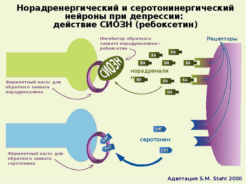 Клиническая фармакология антидепрессантов презентация