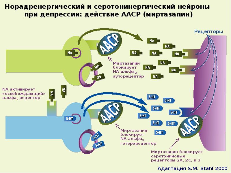 Клиническая фармакология антидепрессантов презентация