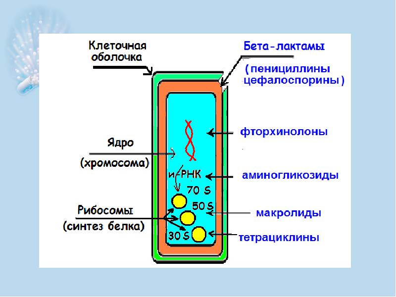 Презентация по внебольничной пневмонии скачать