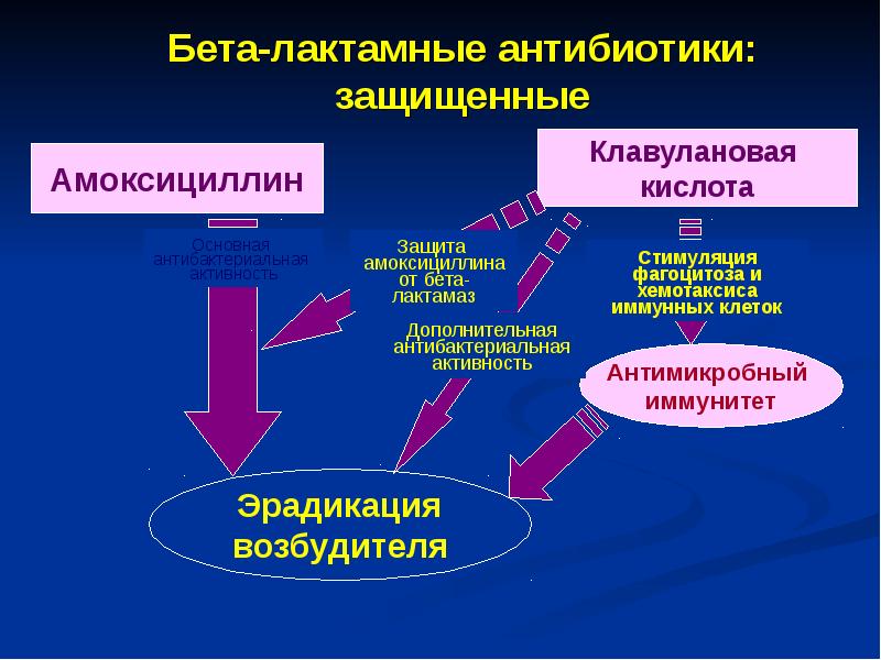 Презентация по внебольничной пневмонии скачать