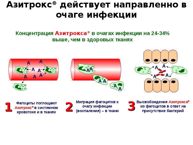 Презентация по внебольничной пневмонии скачать