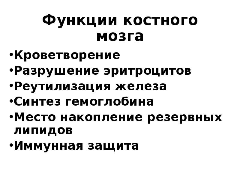 Функции красного костного мозга. Красный костный мозг функции. Красный костный мозг функции кратко. Желтый костный мозг функции. Функции красного и желтого костного мозга.