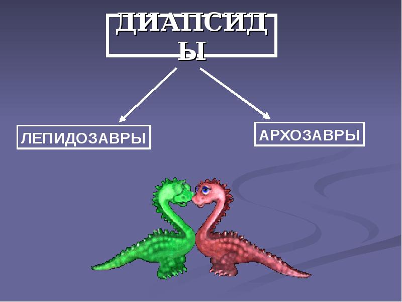 ДИАПСИДЫ ДИАПСИДЫ