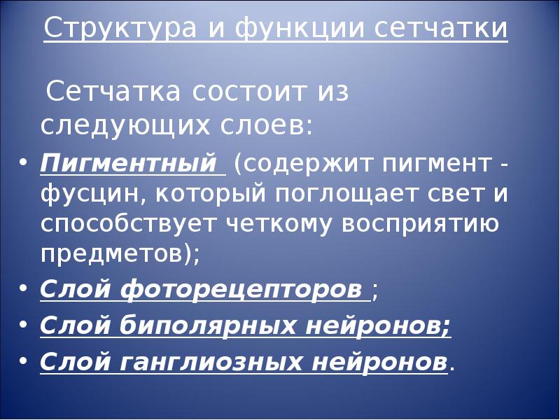 Функции сетчатки