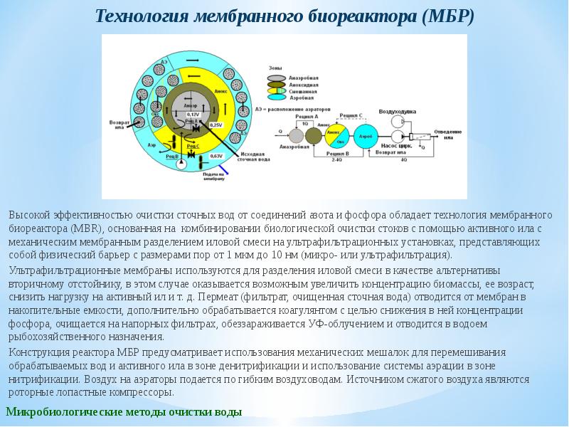 Схема нитрификации денитрификации