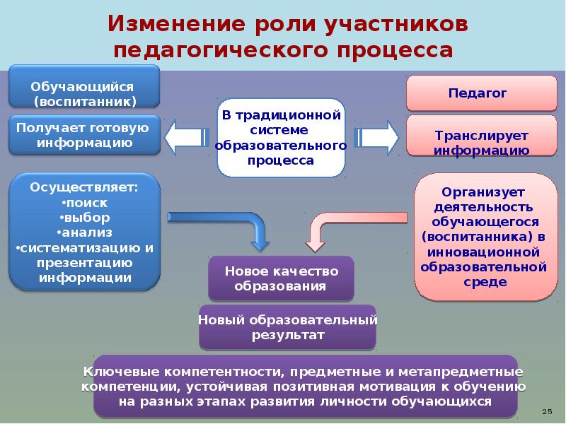 Тенденции образовательной политики. Направления модернизации образования. Учебные направления.